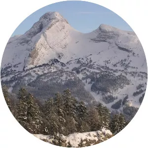 La Grande Moucherolle