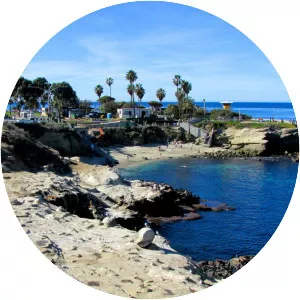 La Jolla Cove - 