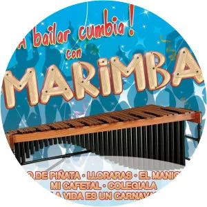 La Marimba Orquesta Reyna Frailescana - Musical artist