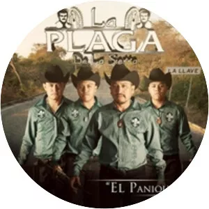 La Plaga De La Sierra - Musical artist