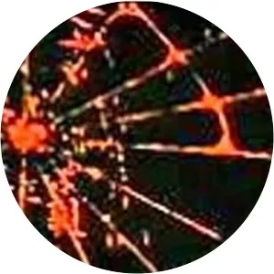 La telaraña1989 – 1993 - TV program