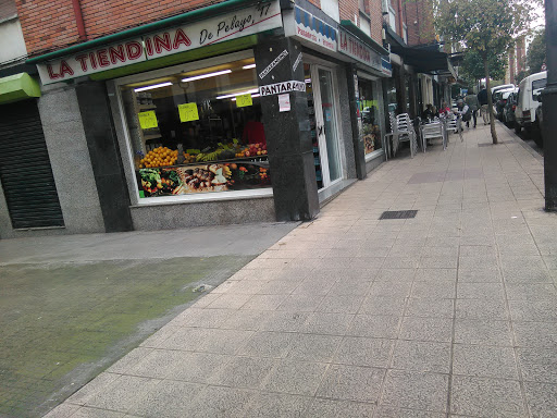 La Tiendina de Pelayo