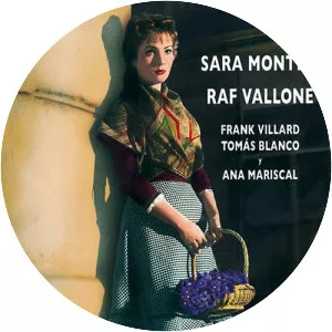 La violetera photograph