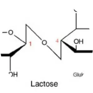Lactose photograph
