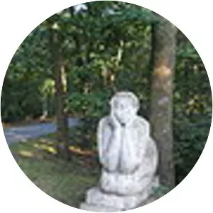 Lacul Ciric II - Lake in Romania