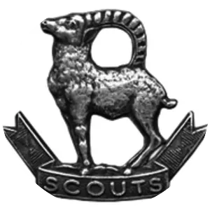 Ladakh Scouts