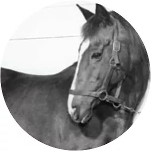 Lady Angela photograph