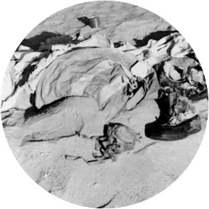 Lady Be Good - Plane crash