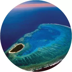 Lady Musgrave Island - 