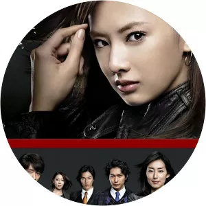 LADY - The Last Criminal Profile2011