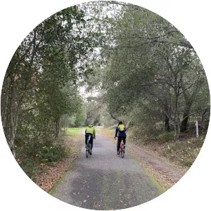 Lafayette/Moraga Regional Trail - 