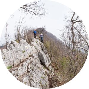 Lägern - Mountain in Switzerland