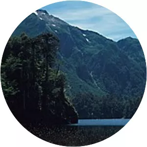 Lago Toro - Lake in Chile