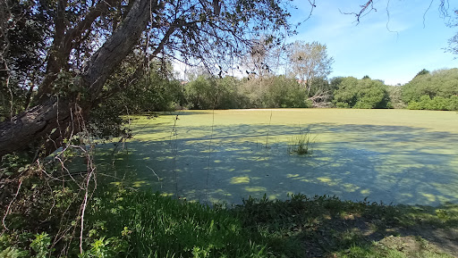 Lagoa da Congorza - Nature preserve in Spain