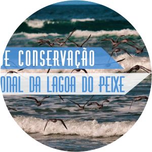 lagoa do peixe praia do mar grosso