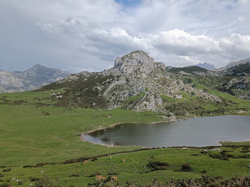 Lagos de Covadonga/Cuadonga