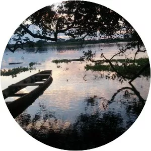 Laguna Cashibococha - 