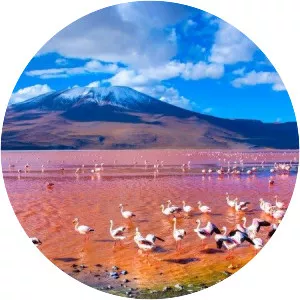 Laguna Colorada - Lake in Bolivia