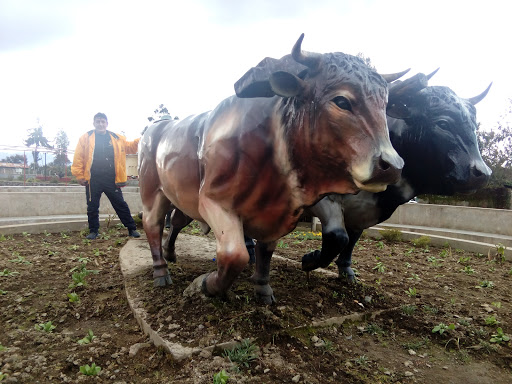 Laguna de Cochacalla - 