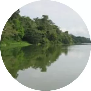 Laguna de Limoncocha