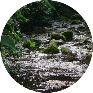 laguna de limoncocha reserva biológica cerro plateado