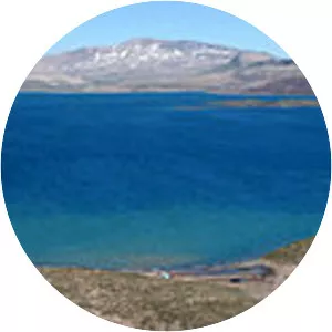 Laguna del Maule - Volcanic field