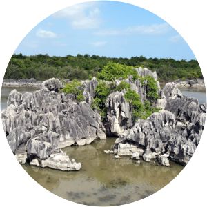 Laguna Guaniquilla - Lake in Puerto Rico
