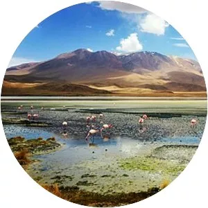 Laguna Hedionda - Lake in Bolivia