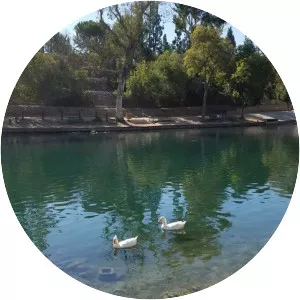 Laguna Lake - Lake in California