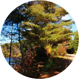 Lahave River Trail - 