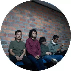 Laila's Lounge - Musical group