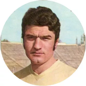 Lajos Sătmăreanu