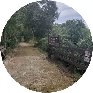 Lake Apopka Loop Trail - 