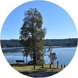 Lake Baroon