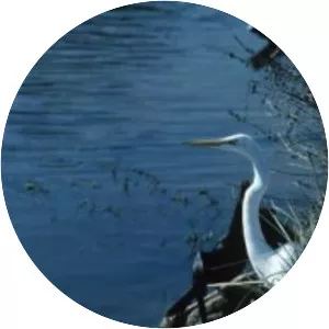 Lake Beauclair - Lake in Florida