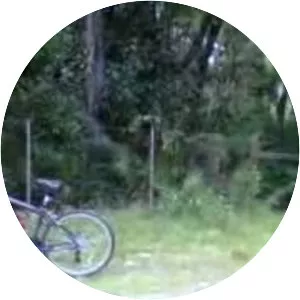 Lake Beresford Park - 