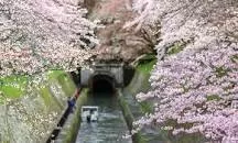 Lake Biwa Canal - 