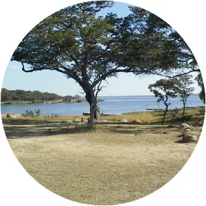 Lake Chivero - Reservoir in Zimbabwe
