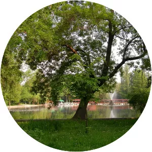 Lake Cișmigiu - Lake in Romania