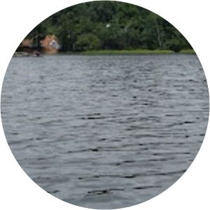 Lake Cuipari - Lake in Peru