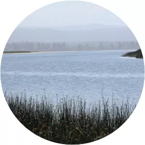 Lake Earl - Lagoon in California