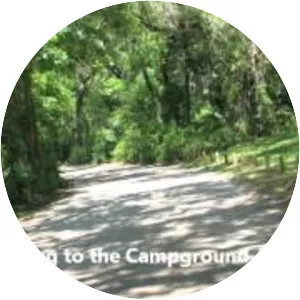 Lake Griffin State Park