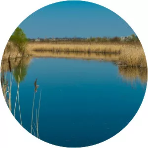 Lake Grivița (Lacul Grivița)