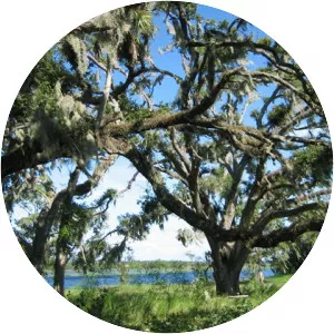 Lake Harney - Lake in Florida