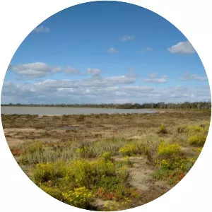 Lake Hindmarsh