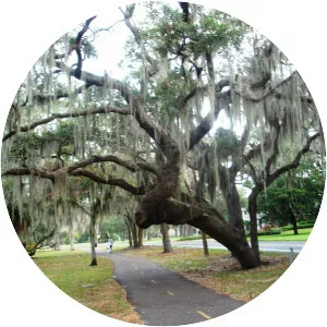Lake Hollingsworth - Lake in Florida