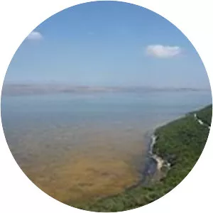 Lake Ichkeul - Lake in Tunisia