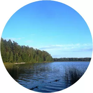 Lake Konsu - Lake in Estonia