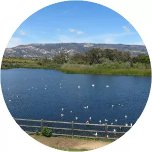 Lake Los Carneros