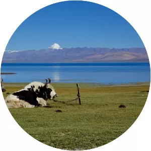 Lake Manasarovar